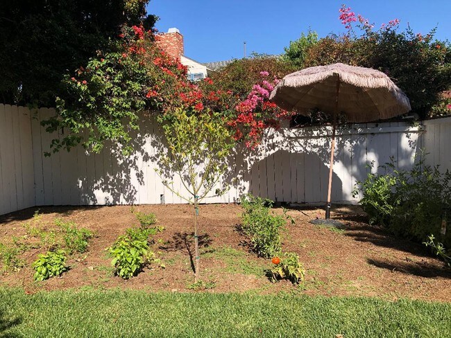 Tomato and herb garden - 17001 Bollinger Dr