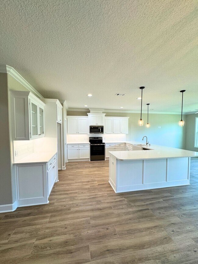 Building Photo - New construction 3 bedroom home!