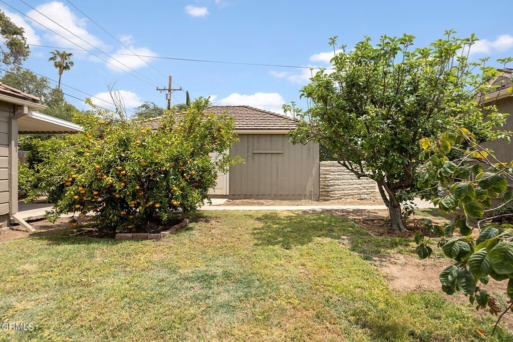 Back Yard - 2963 Sheffield Rd