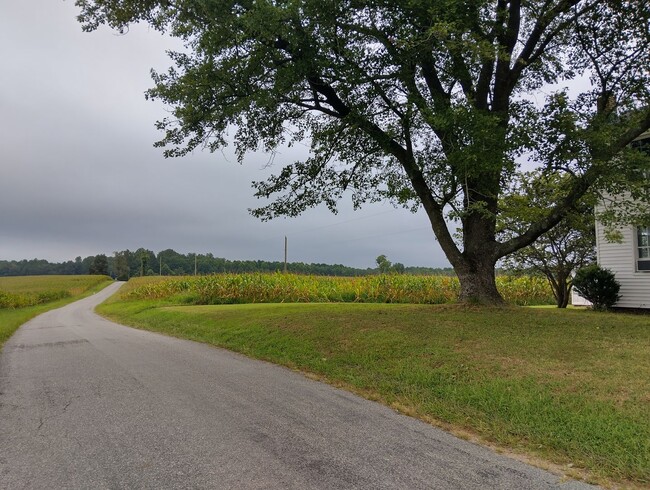 Building Photo - Adorable farmhouse ready for new long term tenants!  Available Now