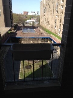 Building Photo - 77 Pond Ave