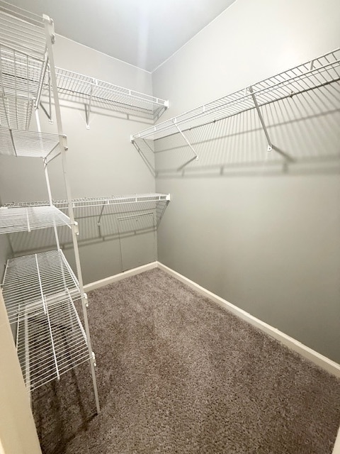 Building Photo - 253 Rhonda Cir E