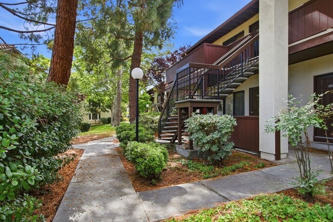 Building Photo - 479 Costa Mesa Terrace