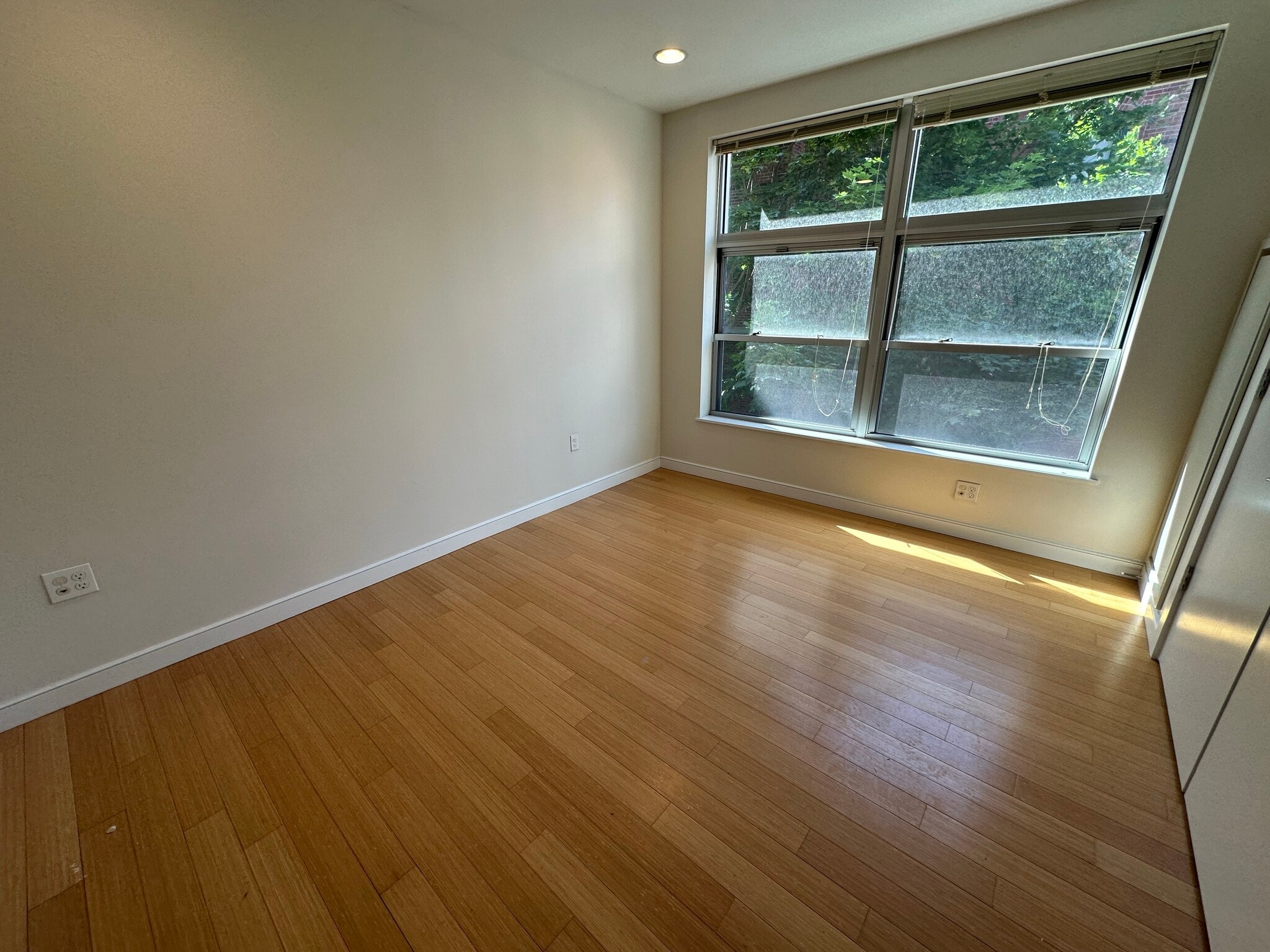 Building Photo - 591 Albany St