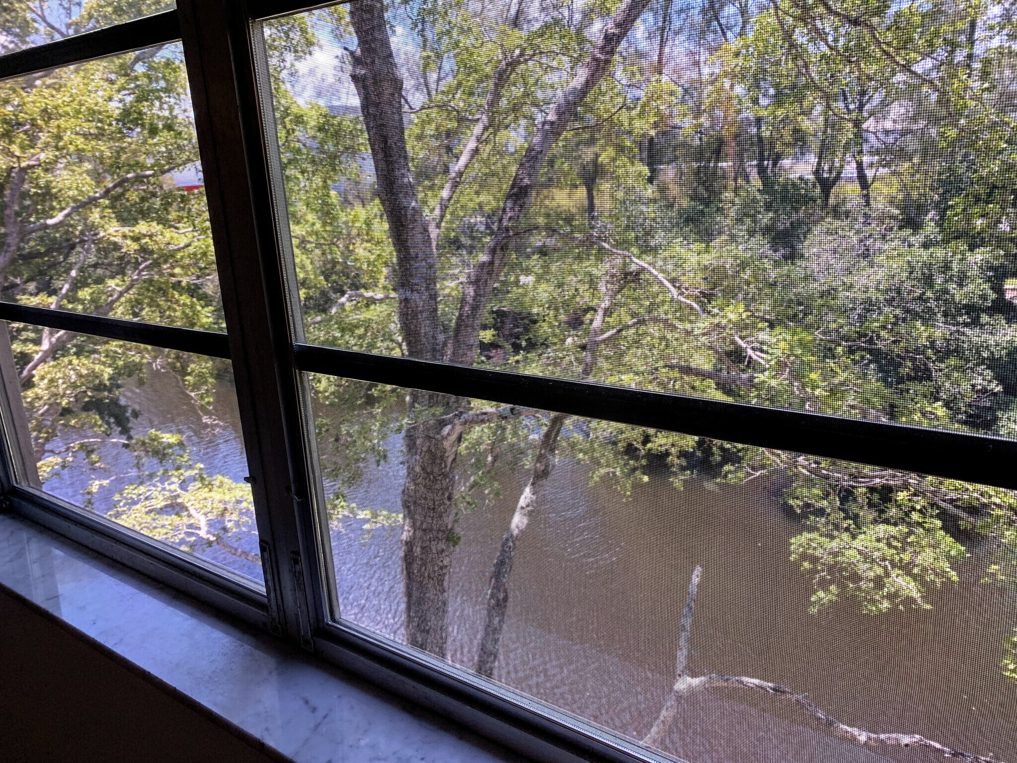 Another View of Canal & Water from Primary Bedroom - 1400 NE 57th St