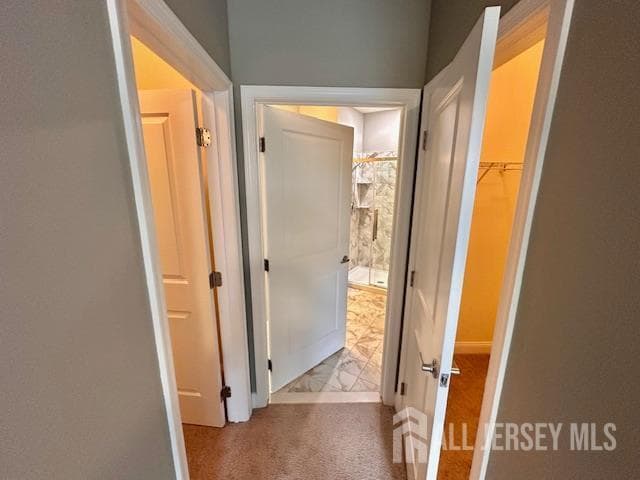 Building Photo - 6203 Fernandez Ct
