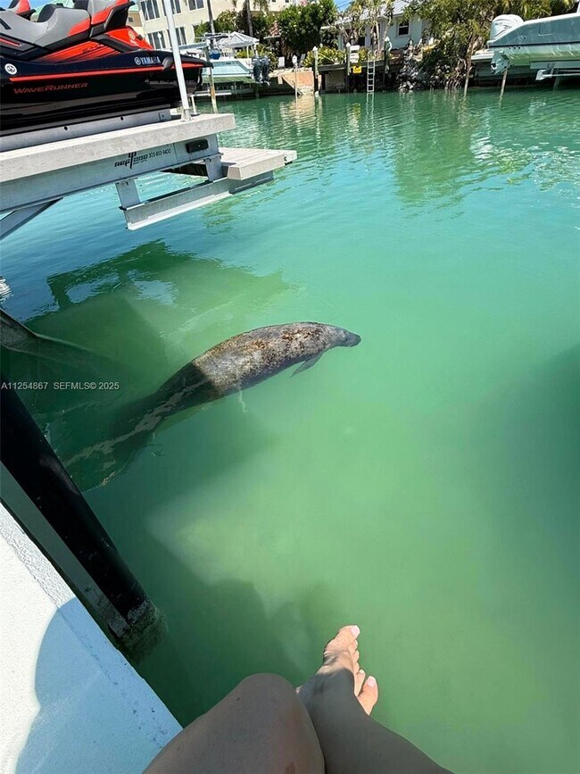 Building Photo - 124 Indies Dr S