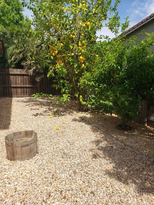 Building Photo - Got Room? - Paradise Valley Home Is Expansive!