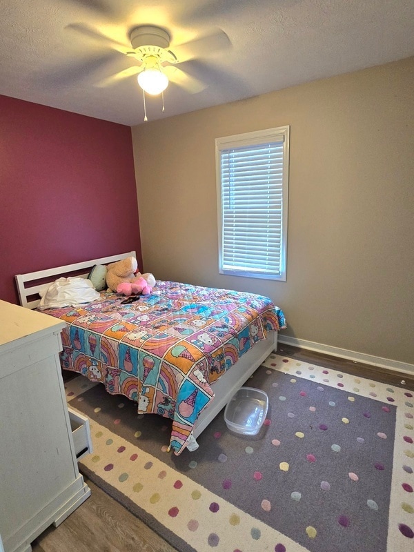 Building Photo - 4612 Raspberry Patch Ln