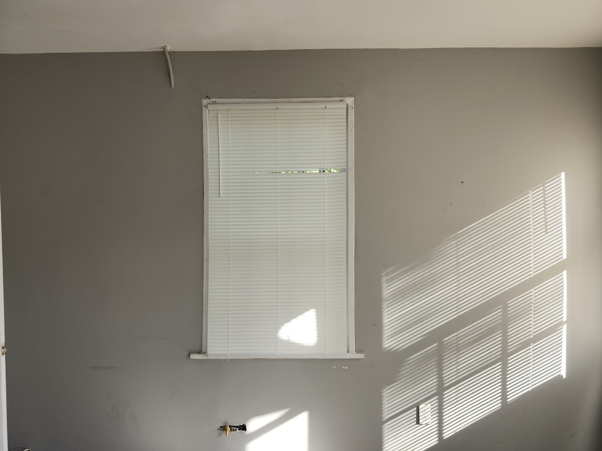 Building Photo - 1893 3rd Ave