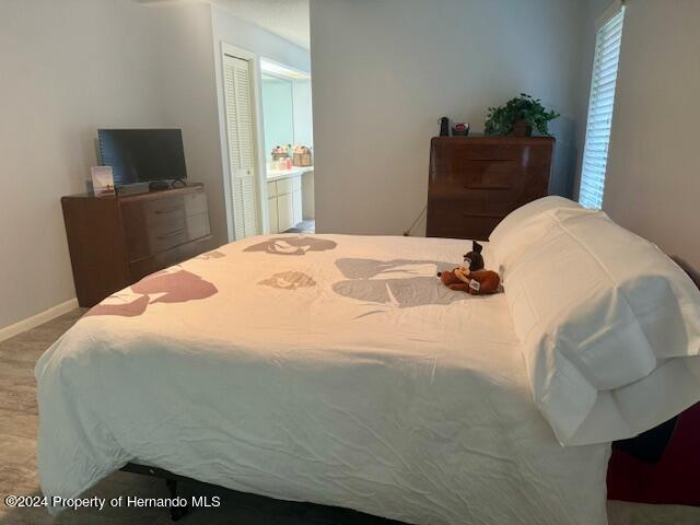 Building Photo - 15 Begonias Ct