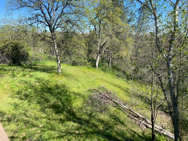 Building Photo - Well maintained home on 1.14 acres - Landscaping included!