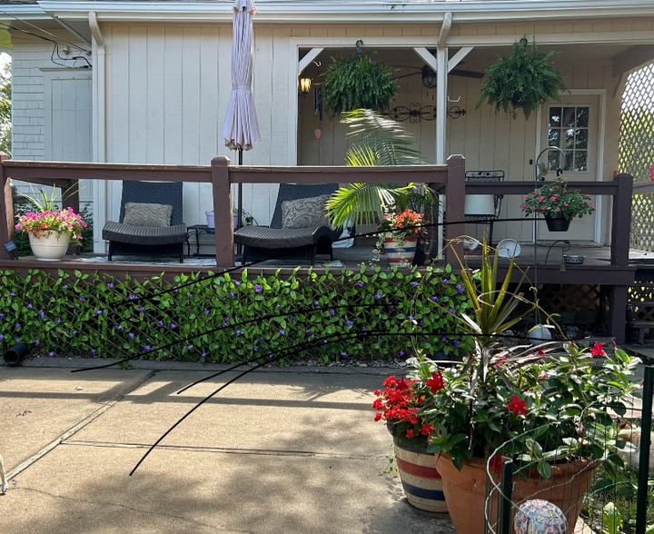 Building Photo - 940 S Cedar St