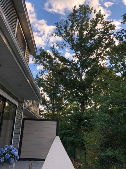 Building Photo - 30 Cate St