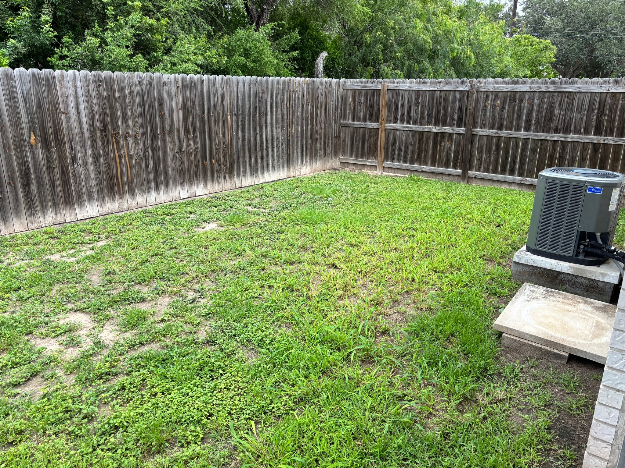Building Photo - 310 Regency Ln