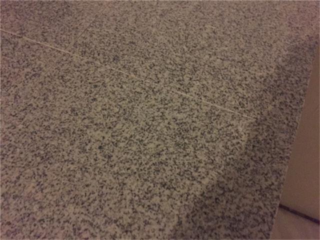 Building Photo - 8219 Sandy Glen Ln