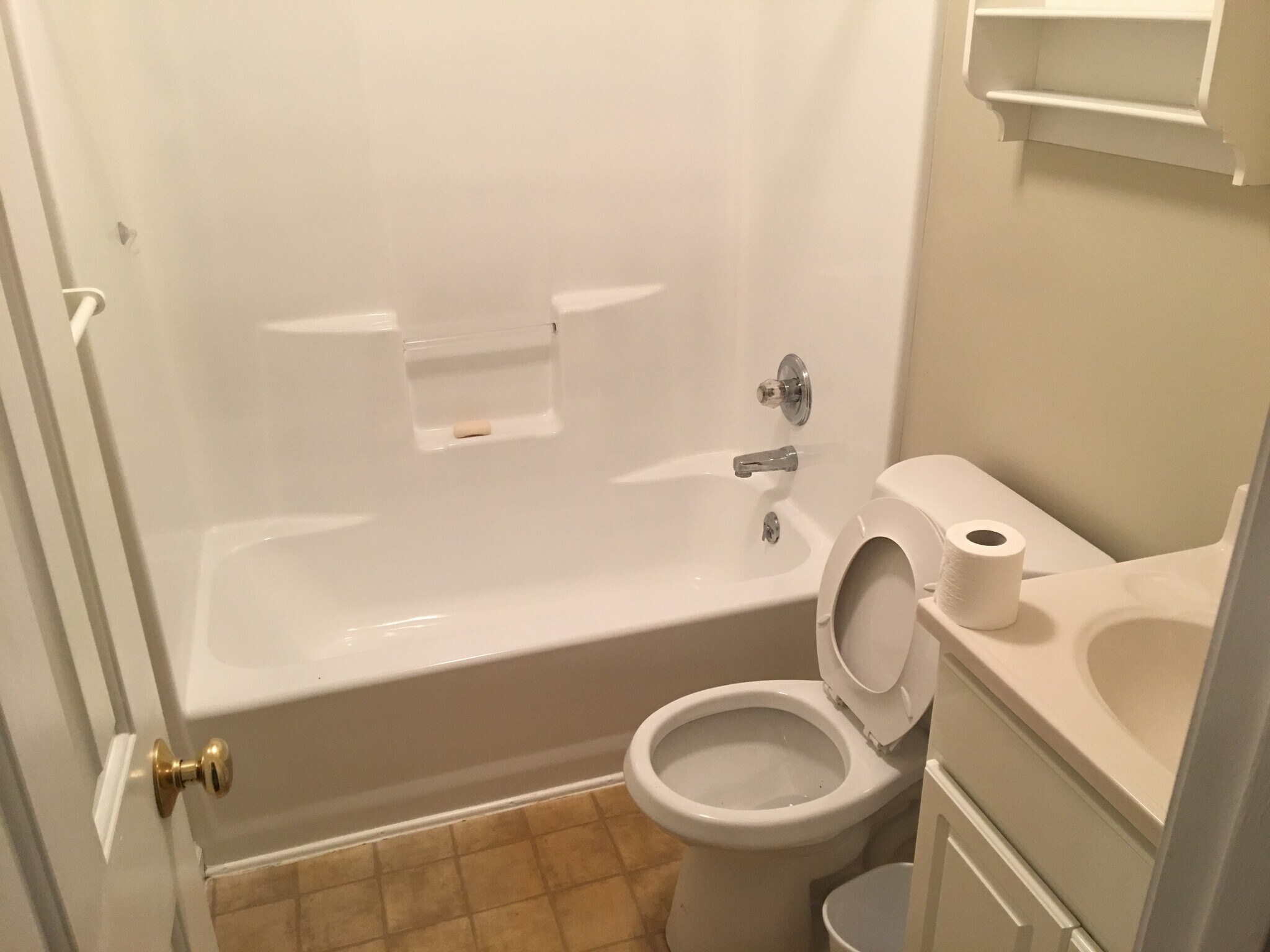 Hall Bathroom - 7301 Emerald Farm Way