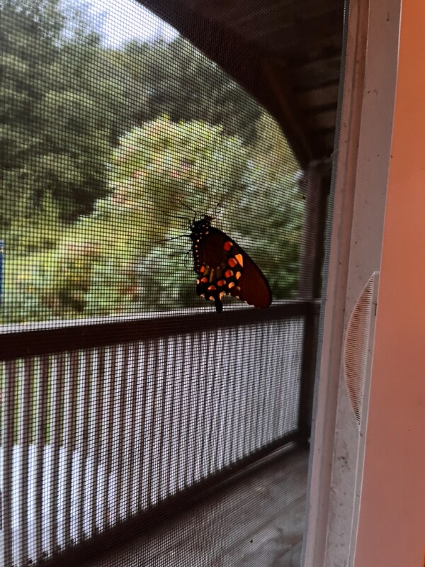 Building Photo - 3550 Coolidge Hwy