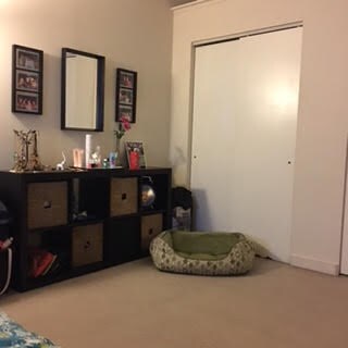 Bedroom Area - 104 Chestnut St