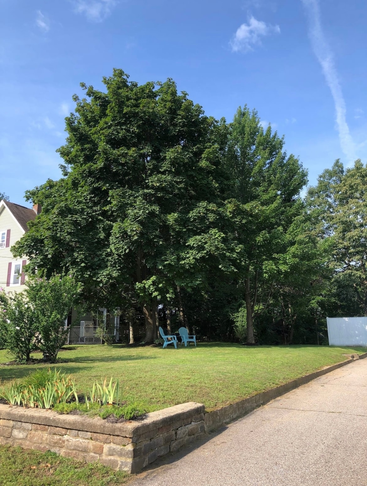 Building Photo - 184 Thornton St