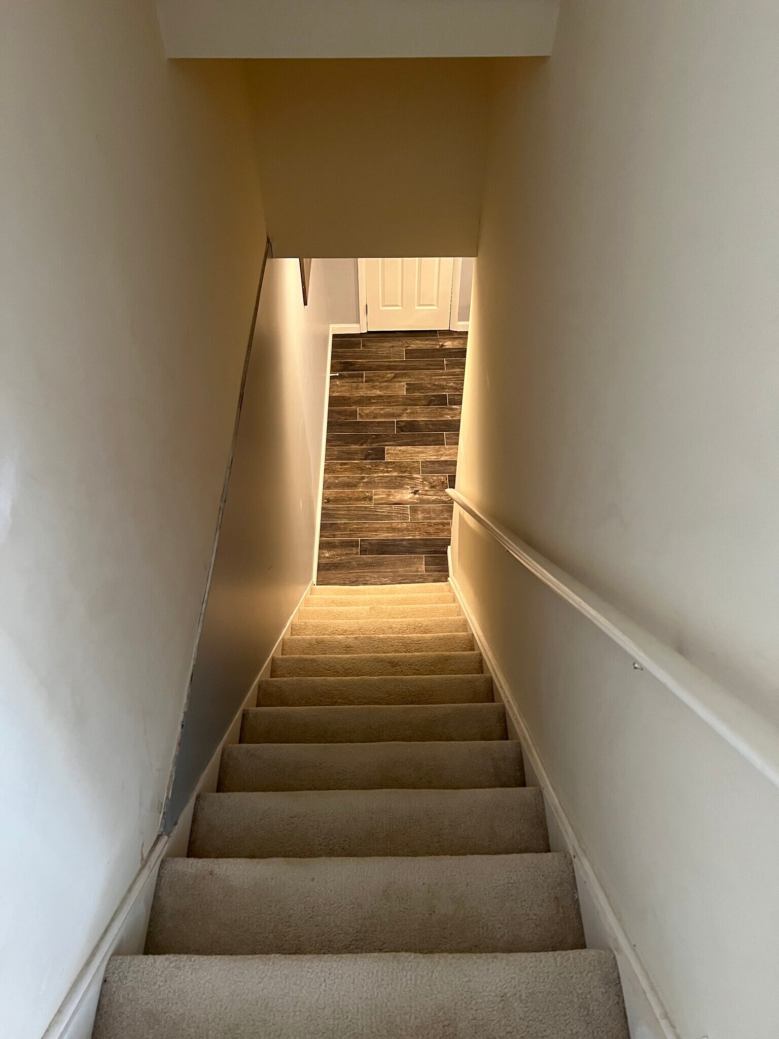 Steps leading to basement - 8804 Spruce Mill Dr