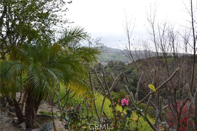 Building Photo - 5545 Carot Ct