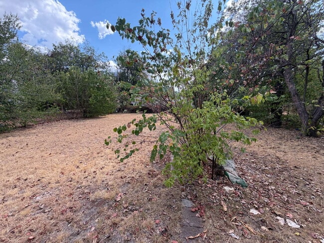Building Photo - 3-Bedroom, 2 Full Baths in Del City