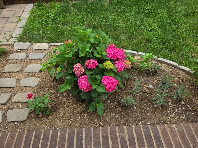 Building Photo - 111 High Hope Ln