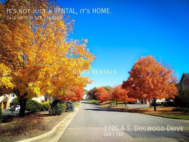 Primary Photo - 1720 S Dogwood Dr