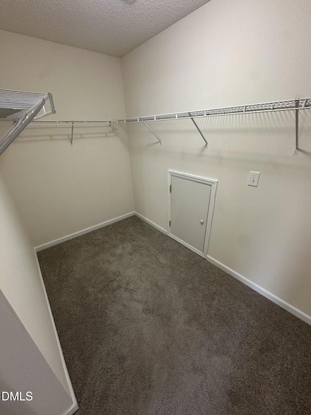 Building Photo - 2241 Spruce Shadows Ln