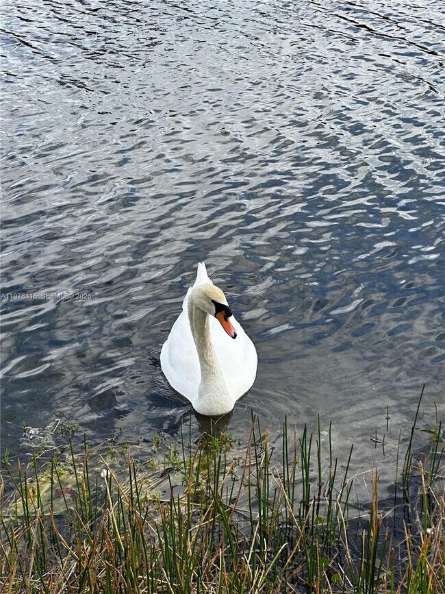 Building Photo - 2243 SW 134th Ave