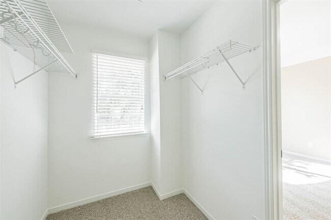 Building Photo - 14122 Austin Hollow Ct