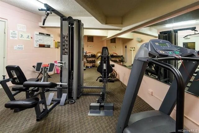Gym - 469 Ena Rd