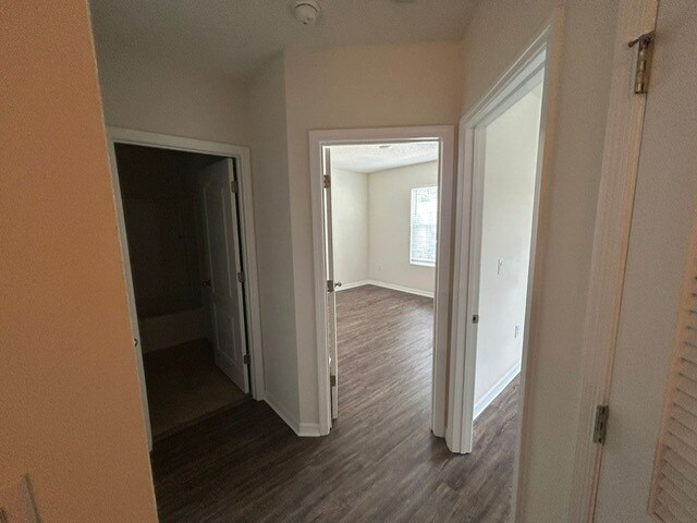 Building Photo - 1631 Primo Ct