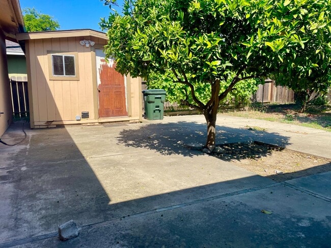 Building Photo - 1375 Mitchell Ln