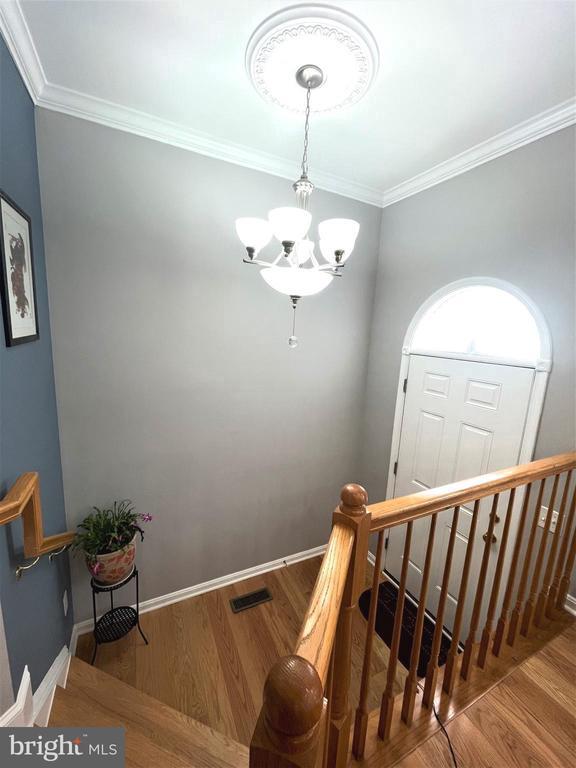 Building Photo - 4513 Monmouth St