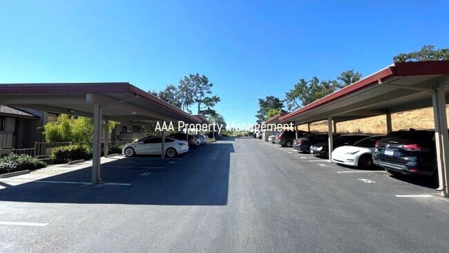 Building Photo - Walnut Creek! Beautiful remodeled 1 bedroom 1 bath location near John Muir Hospital and Heather F...