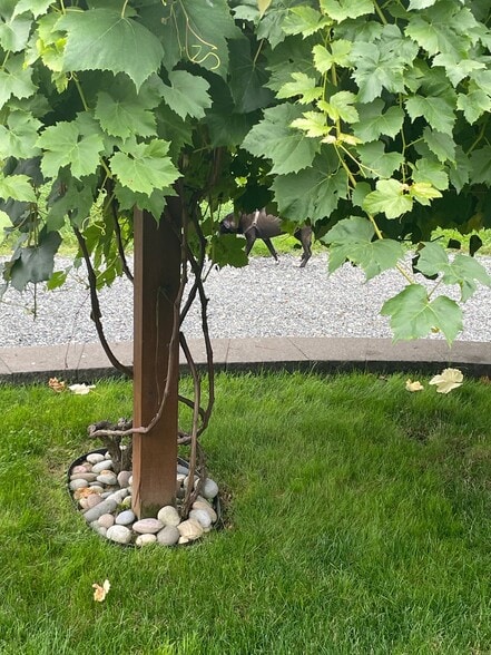 Building Photo - 9600 116th St NE