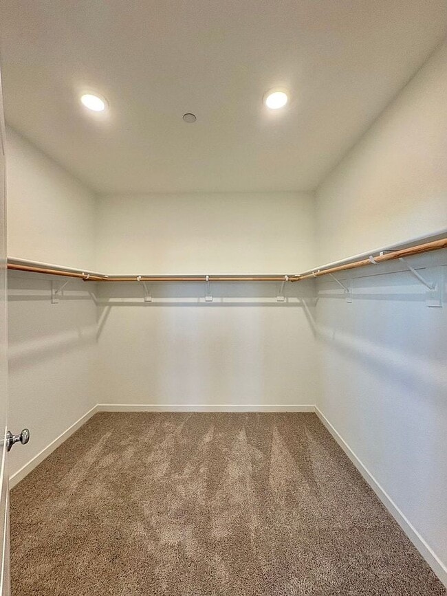 Building Photo - 703 Rosazzo Ln
