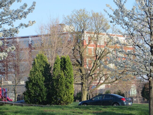 Building Photo - 1117 Nelson St