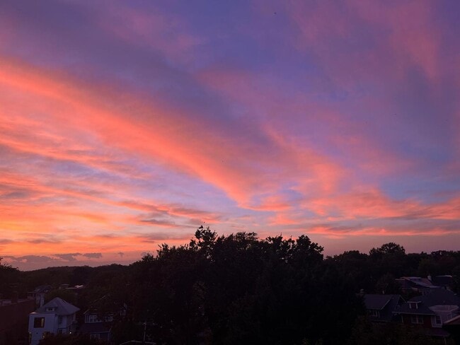 Building Photo - GORGEOUS SUNSET VIEW FROM BALCONY/ NEWLY RENOVATED