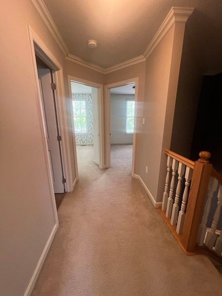 Building Photo - 409 Marshall Heights Dr
