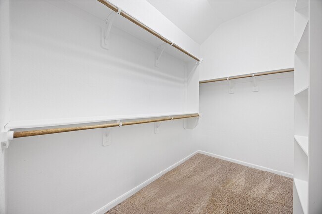 Building Photo - 239 Capriccio Ln