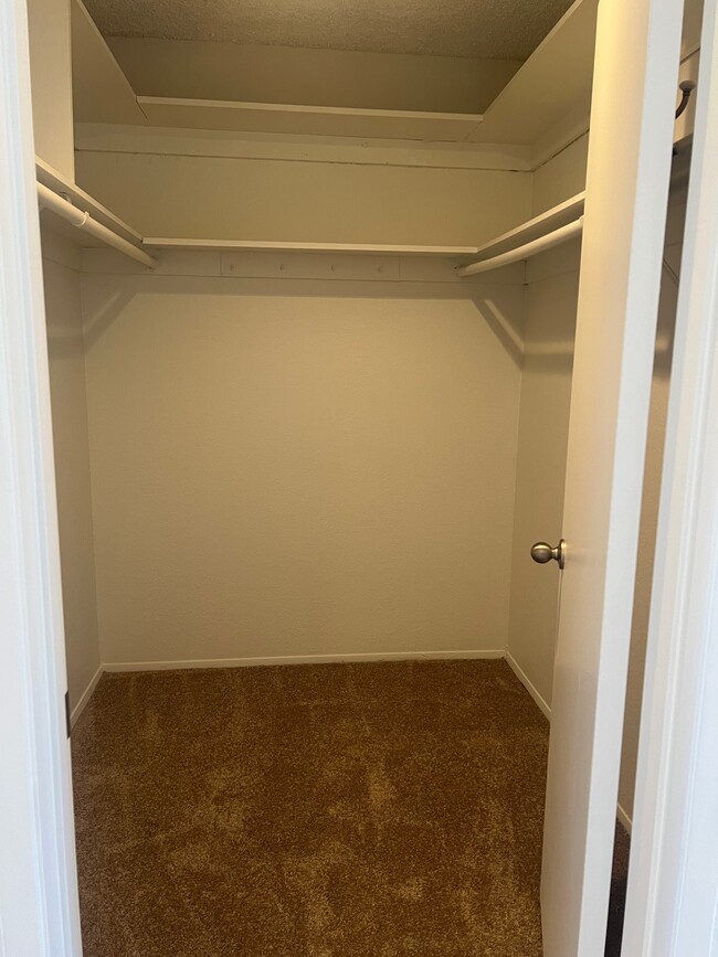 Building Photo - 6948 Camino Pacheco