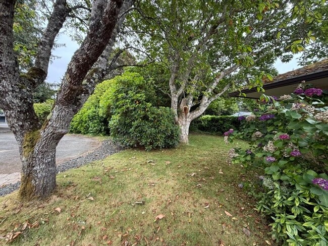 Building Photo - 91251 Cape Arago Hwy