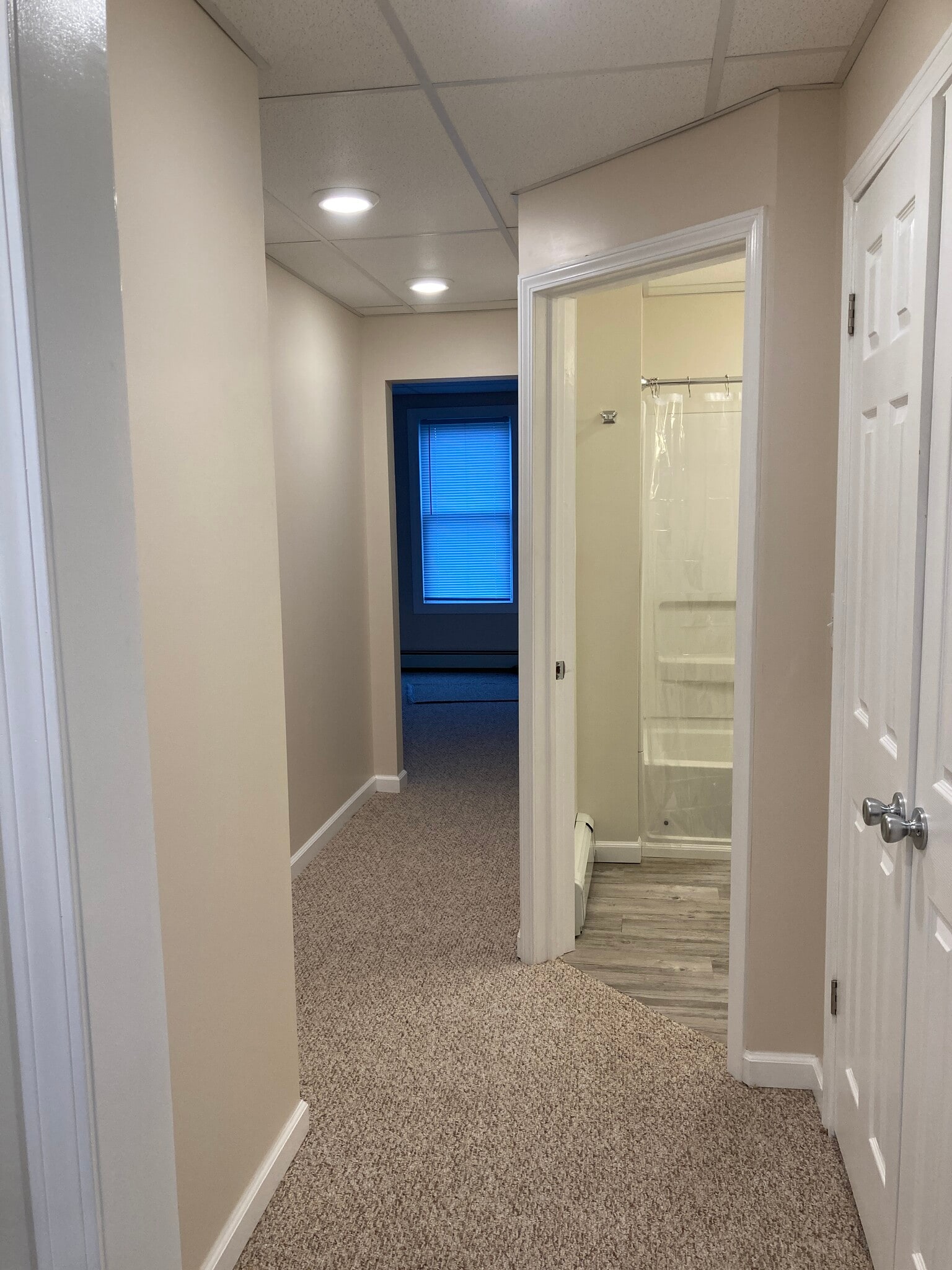 Hallway - 157 Hudson Ave