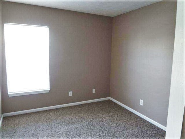 Building Photo - 10708 Cobblestone Dr