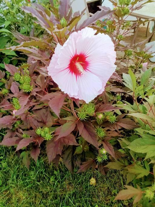 Building Photo - 270 Bates St