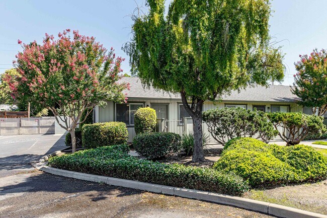 Building Photo - 1229 W Roseburg Ave