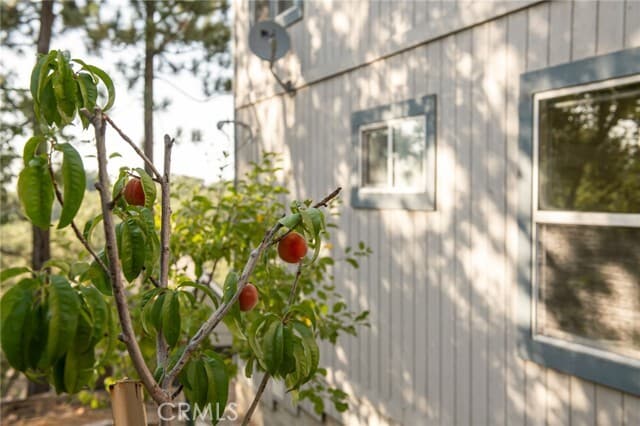 Building Photo - 1477 Sequoia Dr